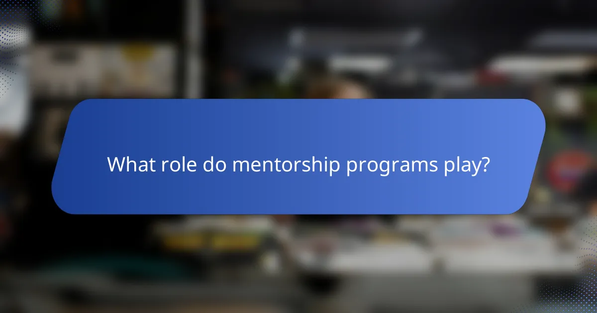 What role do mentorship programs play?